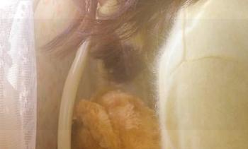 针对每天在线观看的无聊，我决定登入“吃瓜黑料网页”来点儿黑料，毫不犹豫！