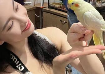 黑料社大放送，下载链接撒一地的瓜！