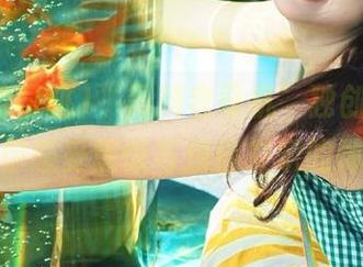 “黑料老司机”独创线路，带你感受震惊与烦恼交织的体验